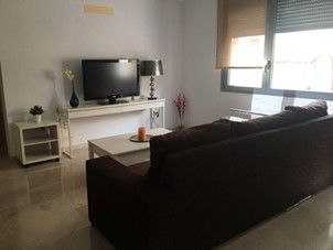 Living room of Flat to rent in  Santa Cruz de Tenerife Capital  with Furnished, Oven and Washing machine