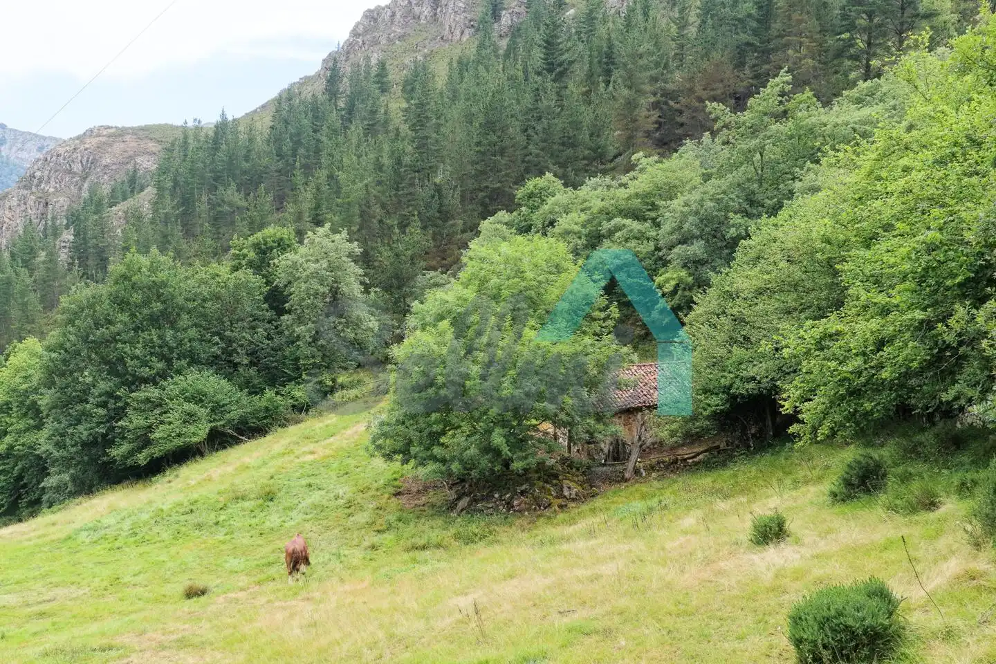 Land for sale in Proaza