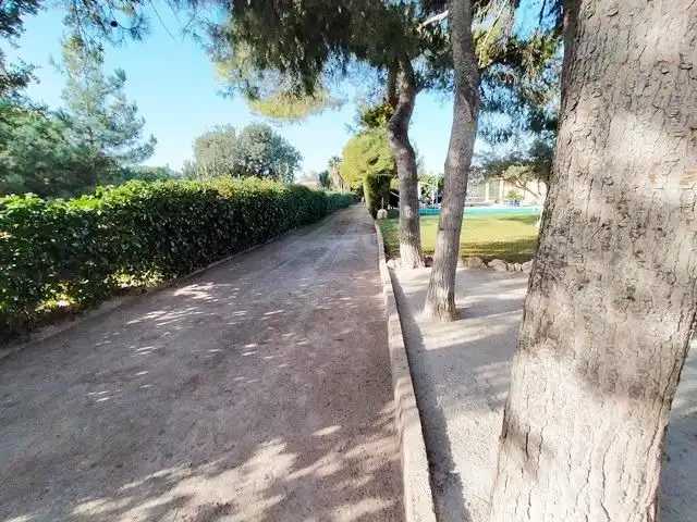 Exterior view of Houses for sale in Alicante / Alacant  with Private garden, Terrace and Swimming Pool