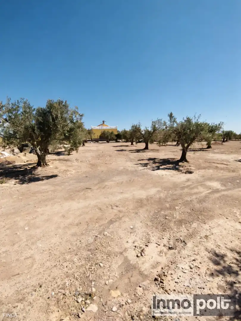 Country house zum Verkauf in Calle Fuente Alamo de Murcia (0x6d0b0ace493fa715 1, Jerónimo y Avileses