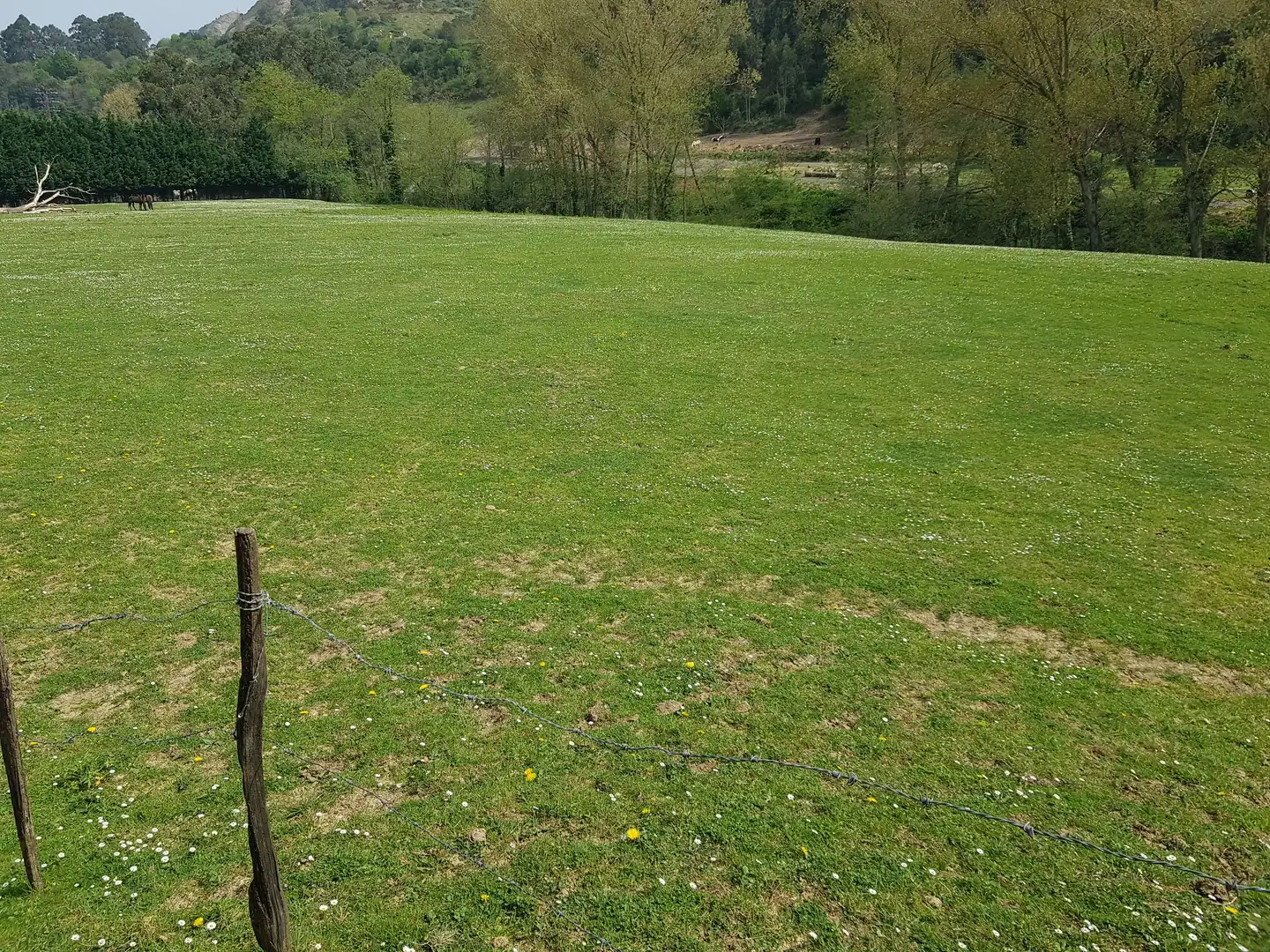 Terreni e lotti in vendita a Mioño - Santullán