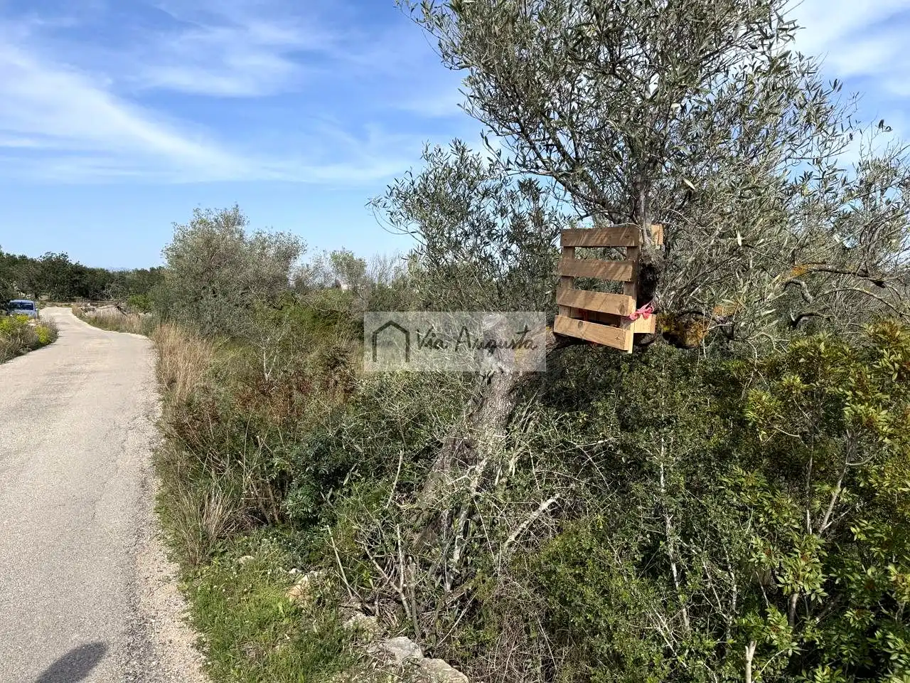 Terreno rustico in vendita a oliveres, imagen 3