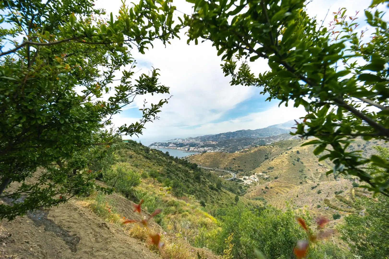 Vista exterior de Finca rústica en venta en Ítrabo con Calefacción, Jardín privado y Terraza