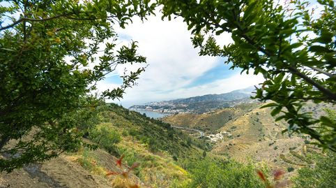 Foto 2 de Finca rústica en venta en Calle Paraje el Tinto-pol 1-par 85, Ítrabo, Granada