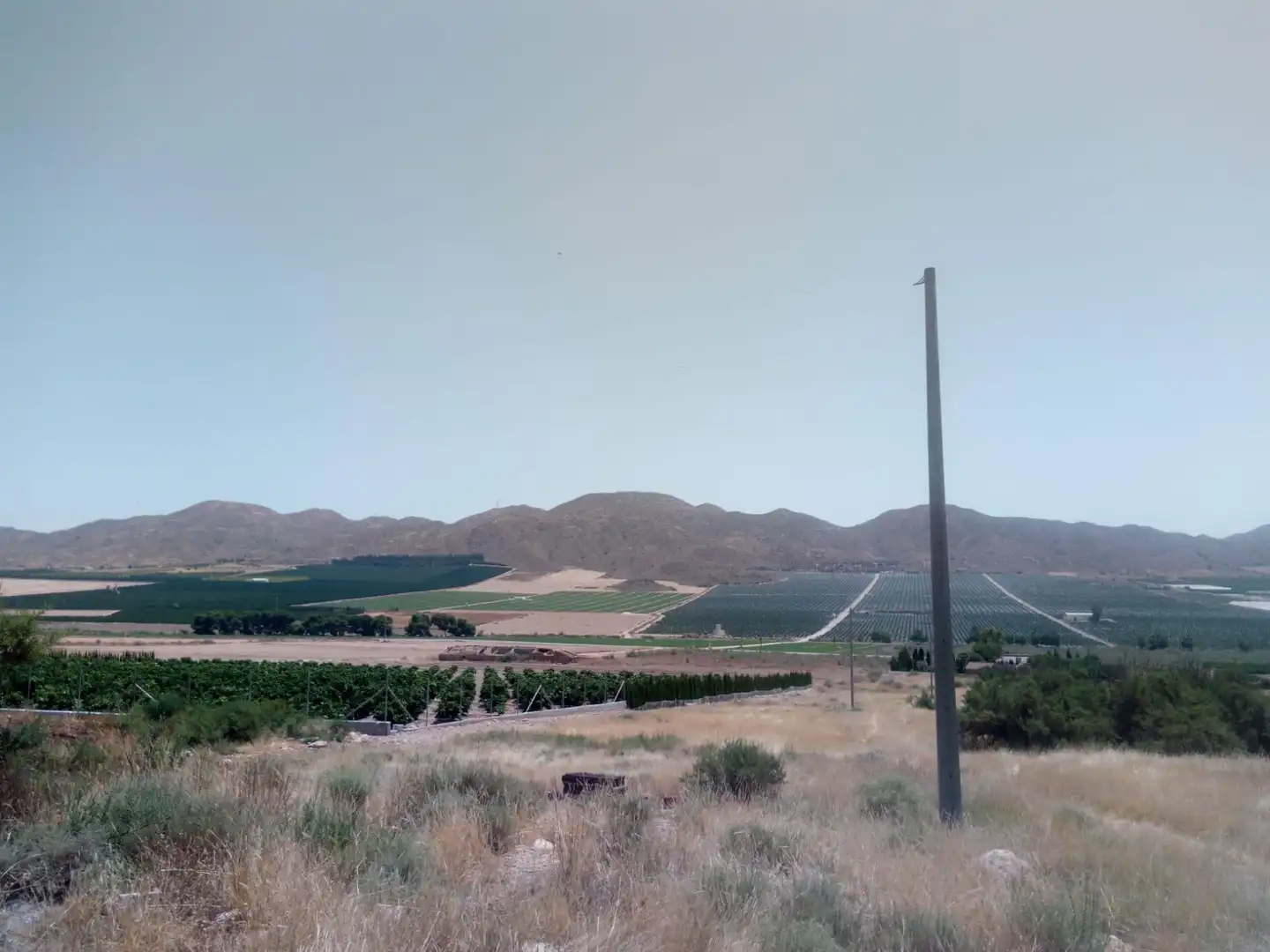 Terreno en venta en Almendricos