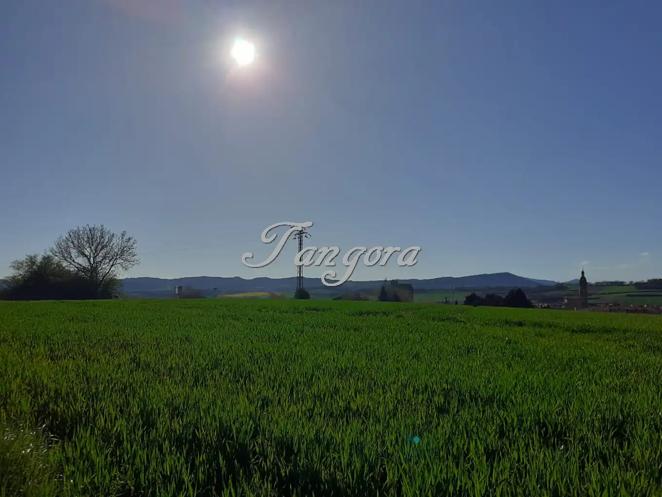 Industrial land for sale in La Puebla de Arganzón 