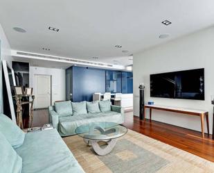 Living room of Flat to rent in Sant Cugat del Vallès  with Air Conditioner, Furnished and Pets allowed