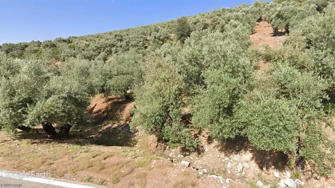 Terreni e lotti in vendita a Santisteban del Puerto, imagen 7