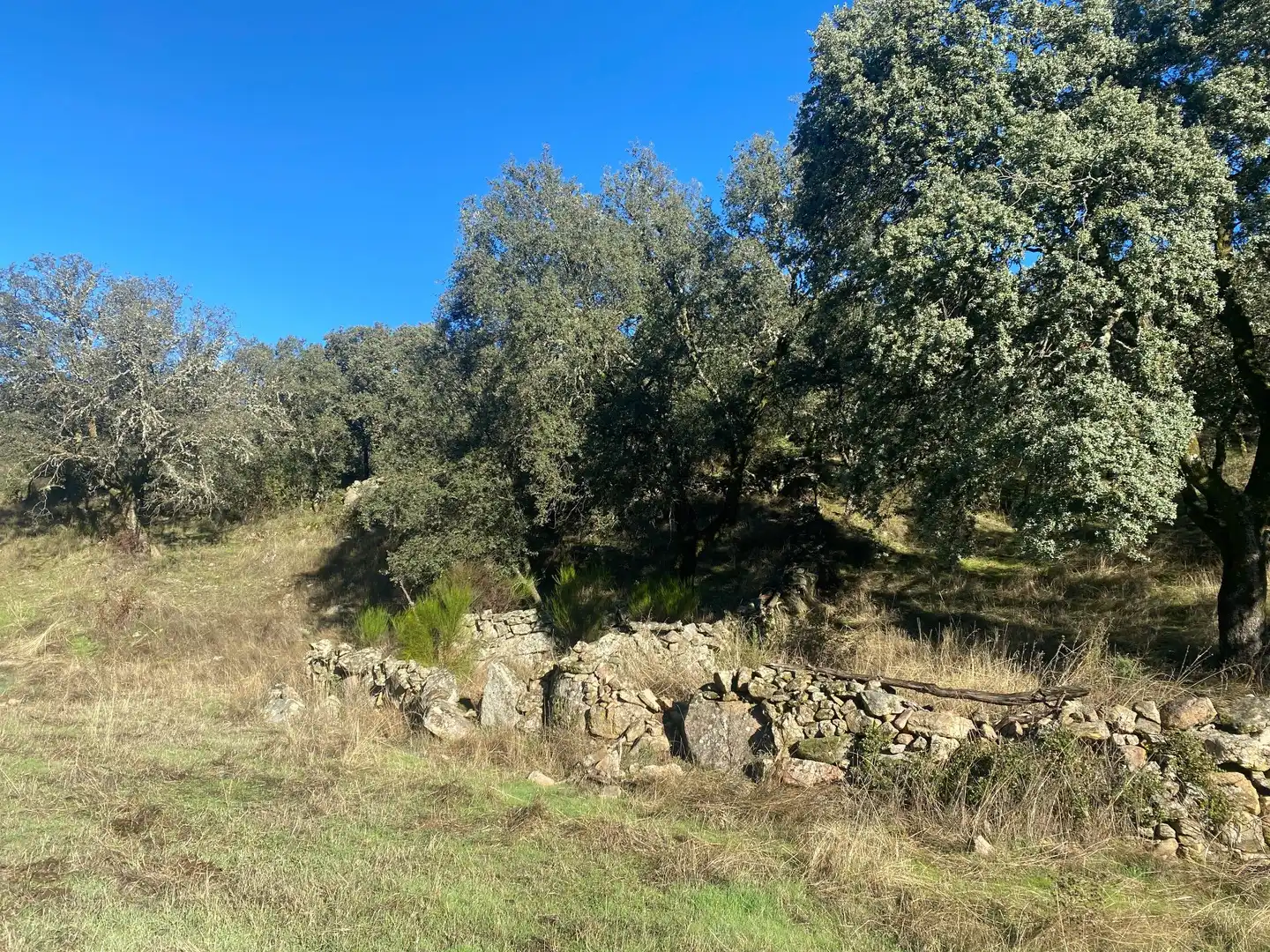 Country house zum Verkauf in El Real de San Vicente mit Klimaanlage, Heizung und Privatgarten