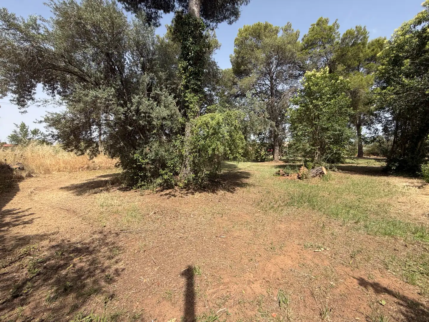 Residencial en venda a Camí de Lleida, 14, Els Alamús