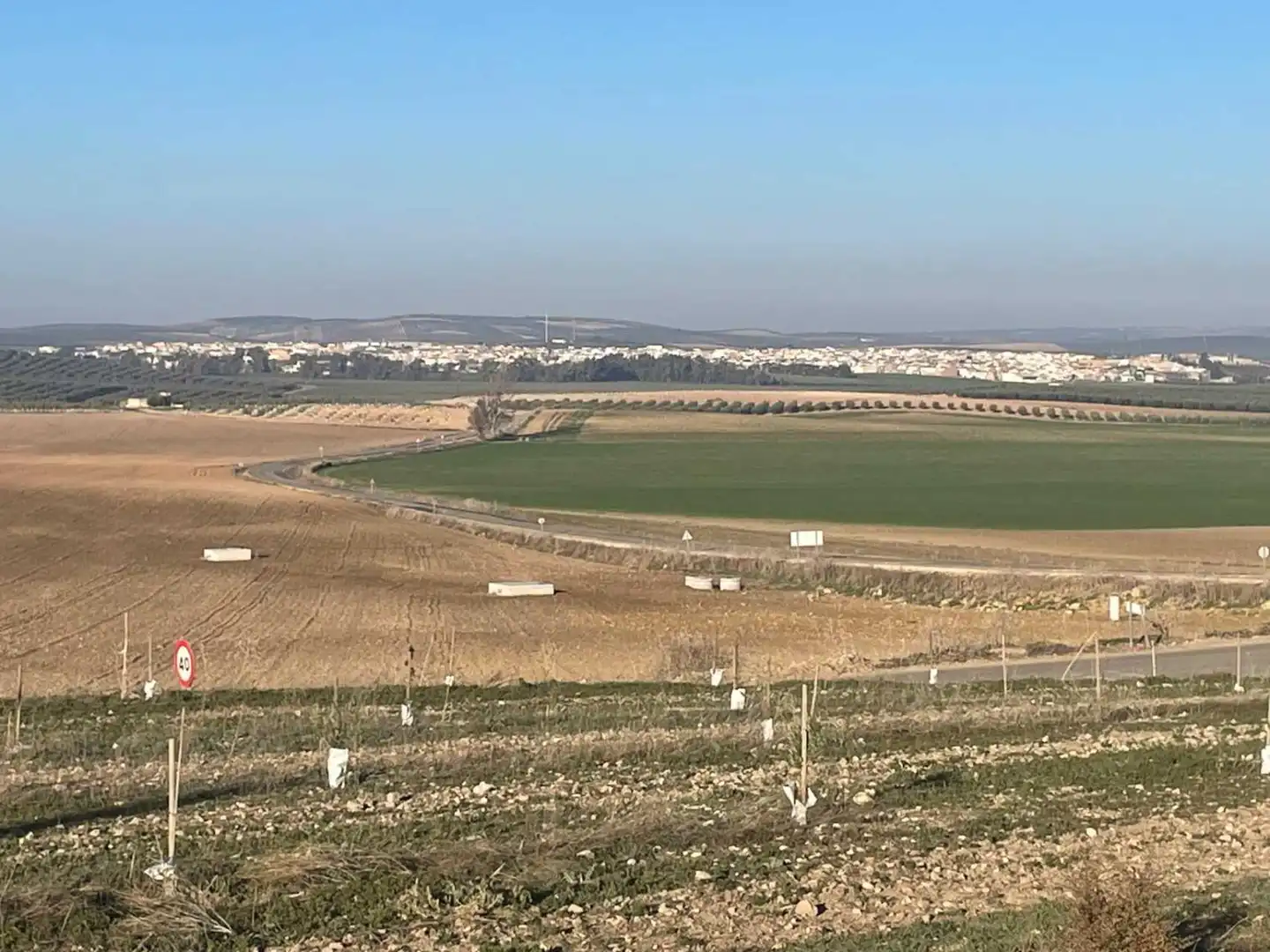 Lands and plots for sale in Marinaleda, imagen 2