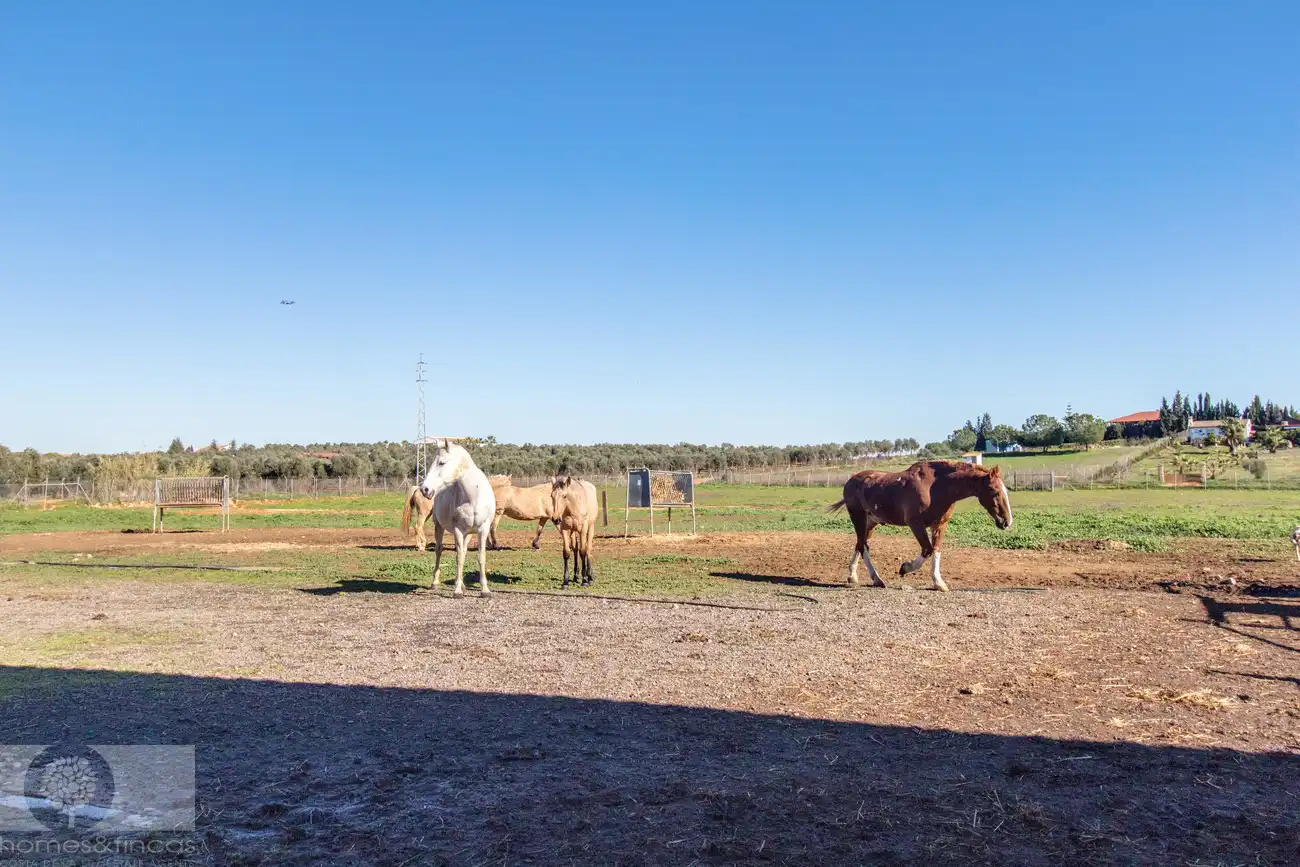 Vista exterior de Finca rústica en venta en Trigueros