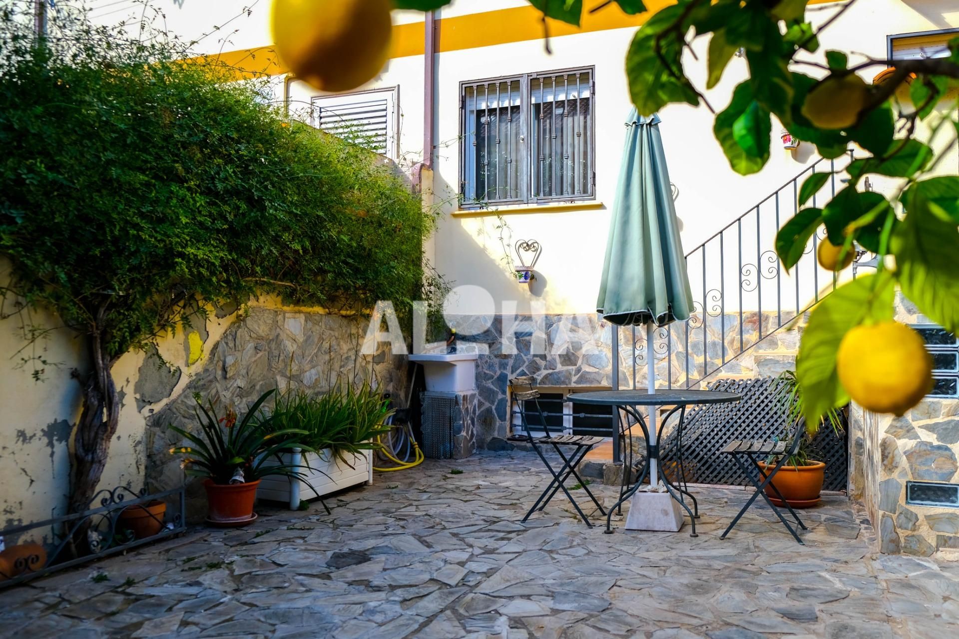 Jardí de Casa adosada de lloguer en Moncada amb Terrassa i Balcó