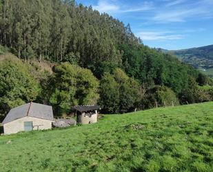 Vista exterior de Finca rústica en venda en Corvera de Toranzo