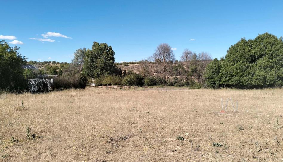 Photo 1 of Land for sale in N/a, -1, Munera, Albacete