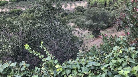 Photo 5 of Land for sale in Els Grecs - Mas Oliva, Roses