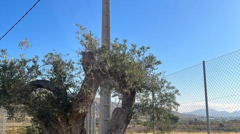 Photo 3 of House or chalet for sale in La Murada - Los Vicentes, Alicante