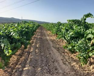 Finca rústica en venda en L'Arboç