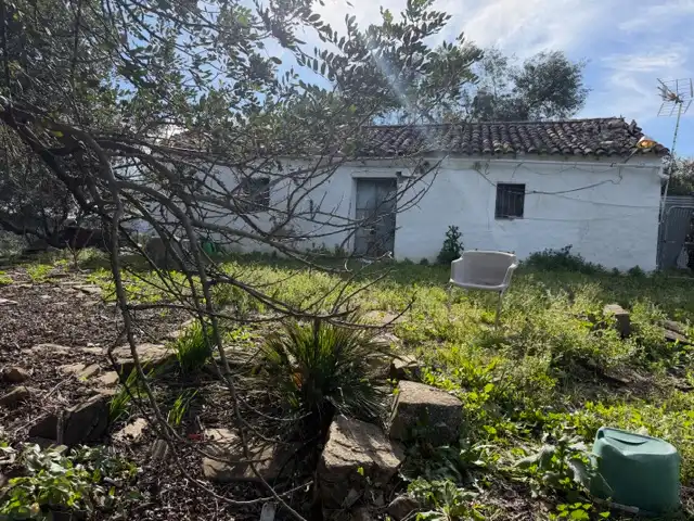 Garden of Land for sale in Ubrique