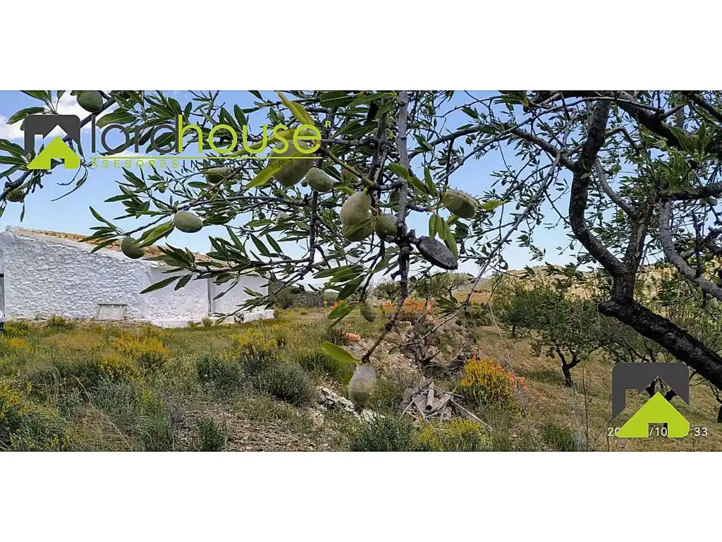 Finca rústica en venta en Lorca
