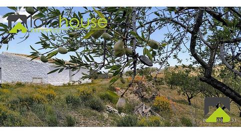 Foto 3 de Casa o chalet en venta en N/a, Jarales, Murcia