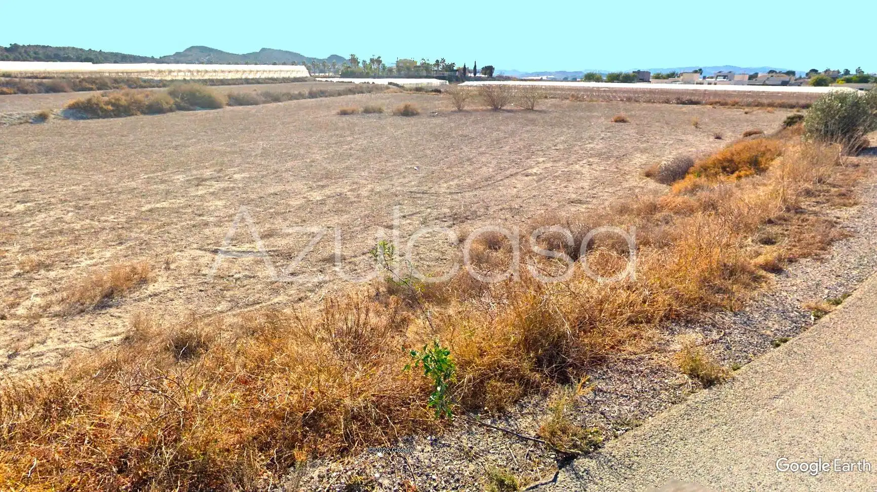 Land for sale in Monforte del Cid