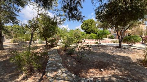 Chalet en venta con piscina en Mutxamel, imagen 4
