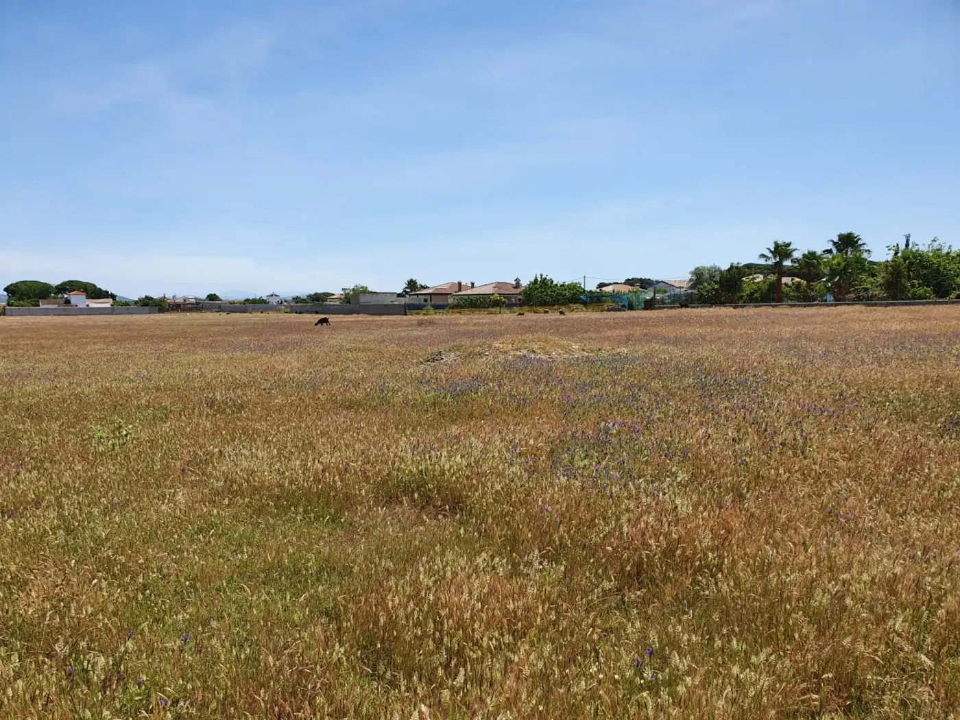 Terreno residencial en venta en Pelagatos - Pago del Humo, imagen 5