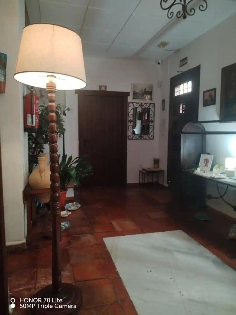 Inmuebles singulares en venta en Centro, imagen 11