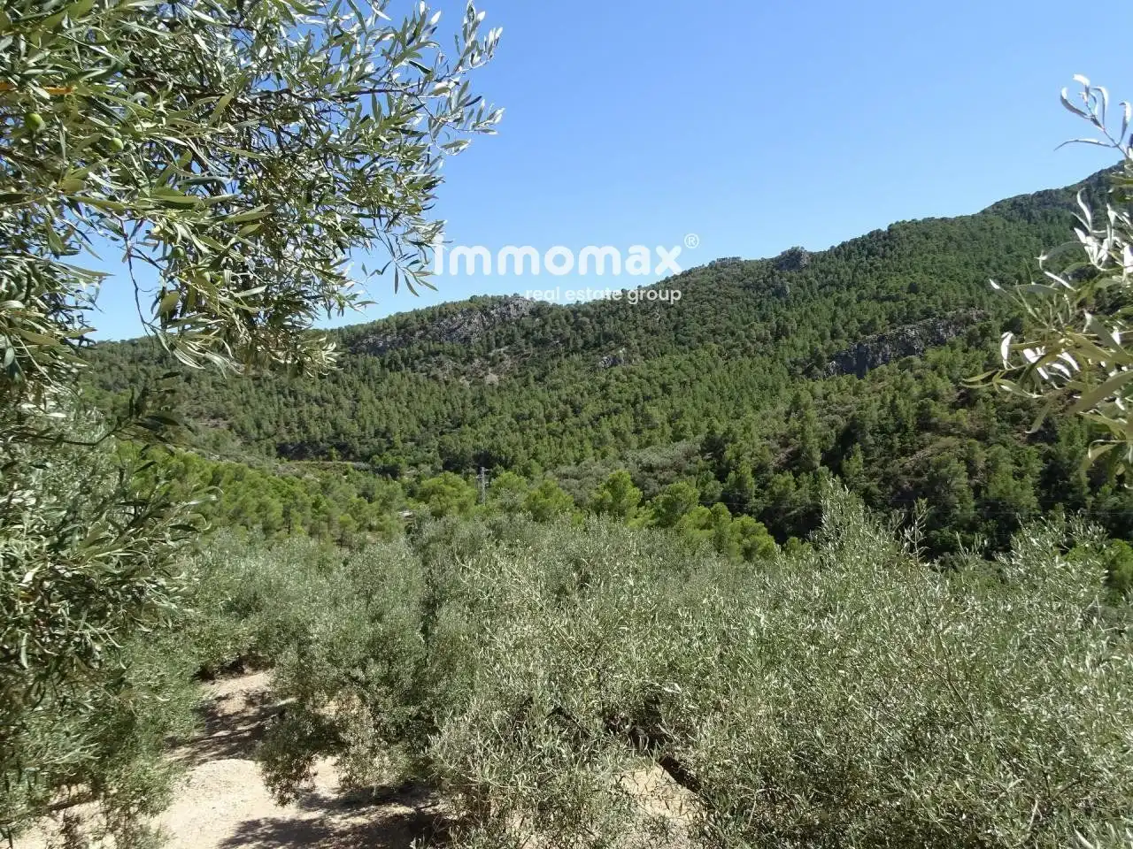 Villa à vendre à Paüls, imagen 8