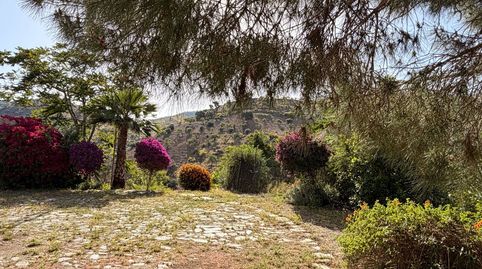 Foto 4 de Finca rústica en venda a Almogía, Málaga