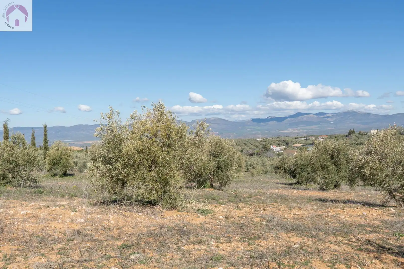 Terreni e lotti in vendita a Cogollos de la Vega, imagen 14
