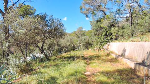 Photo 4 of Country house for sale in Son Roca, Illes Balears