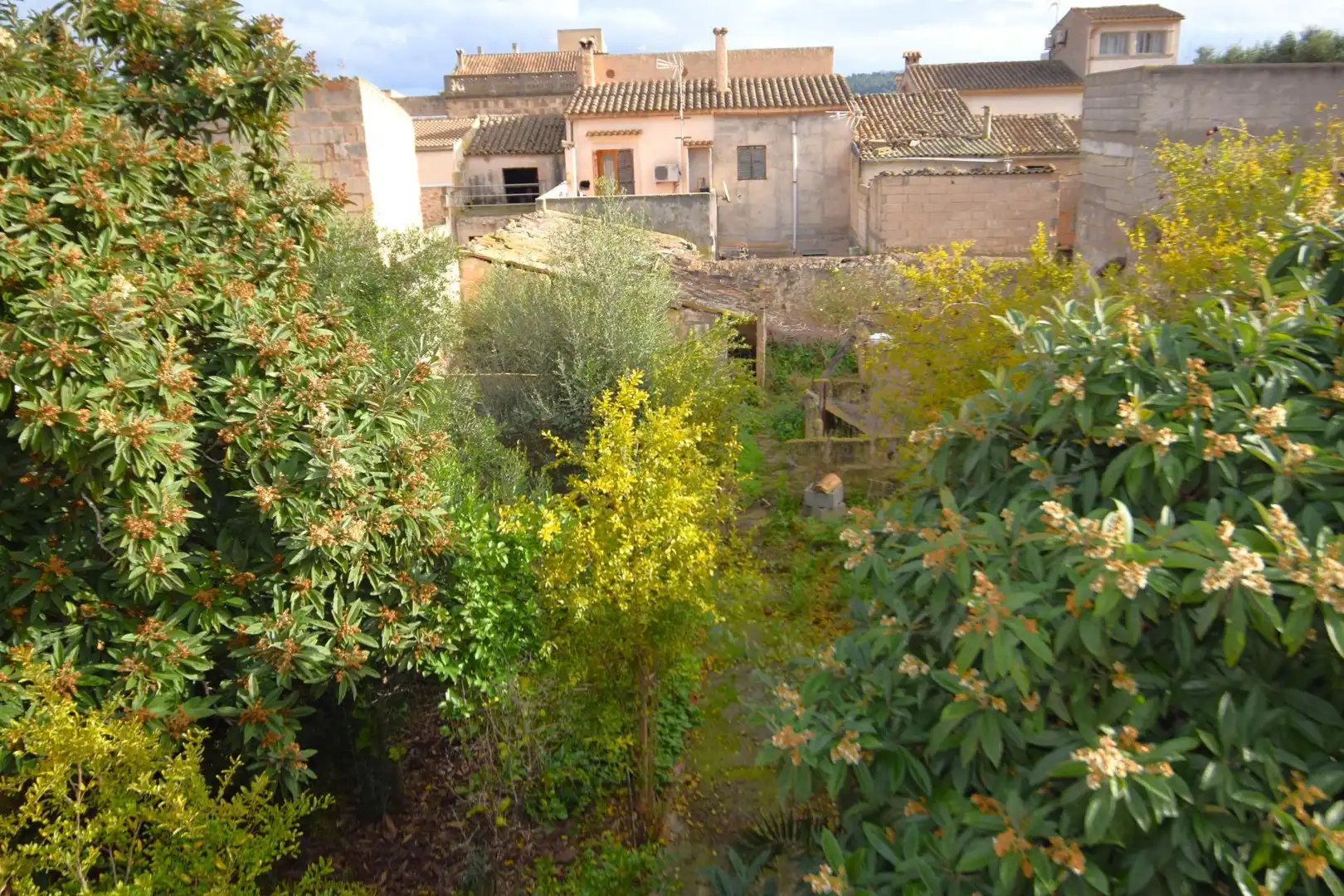 House with garden for sale in Calle Major 35, imagen 31