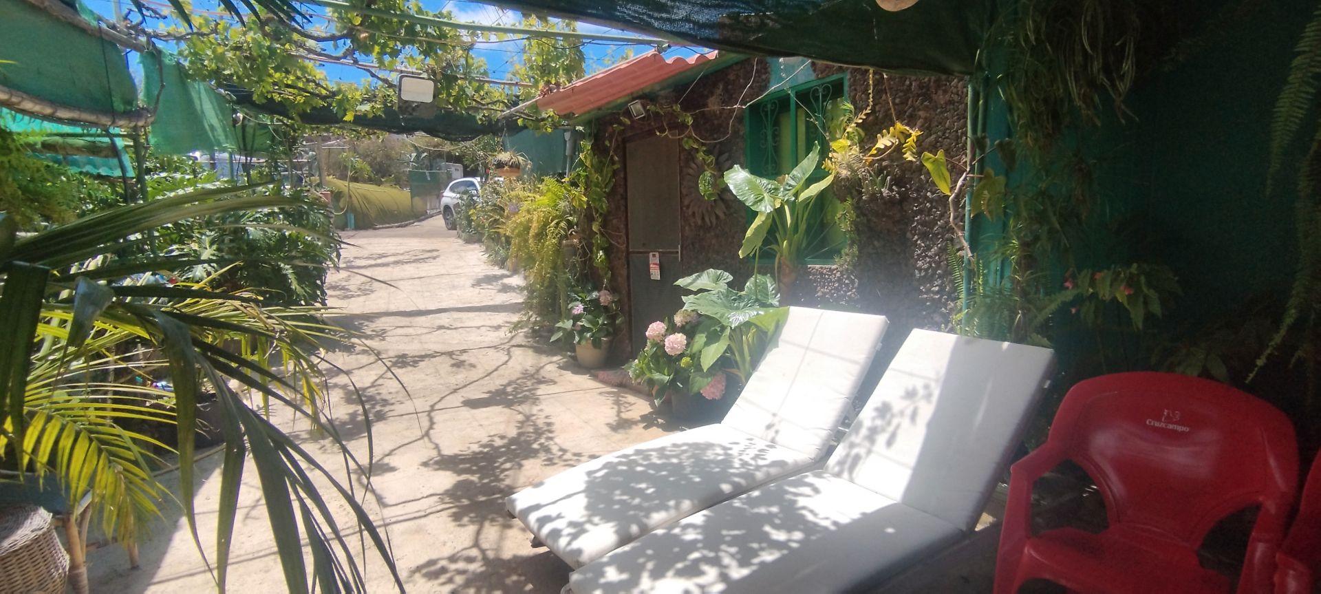 Jardí de Casa o xalet en venda en Telde amb Terrassa, Piscina i Moblat