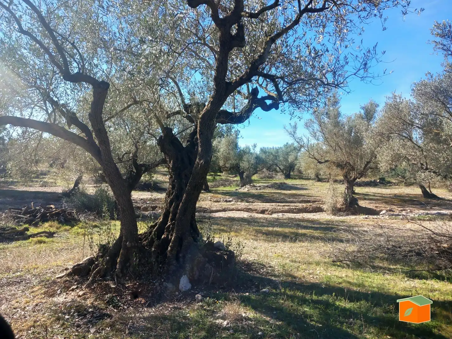 Terreno rustico in vendita a Mas de Barberans, imagen 11
