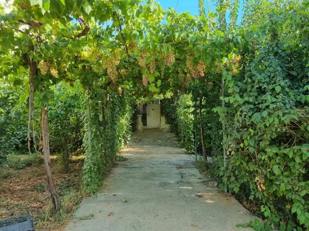 Jardín de Casa o chalet en venta en Alhama de Almería con Jardín privado, Terraza y Piscina