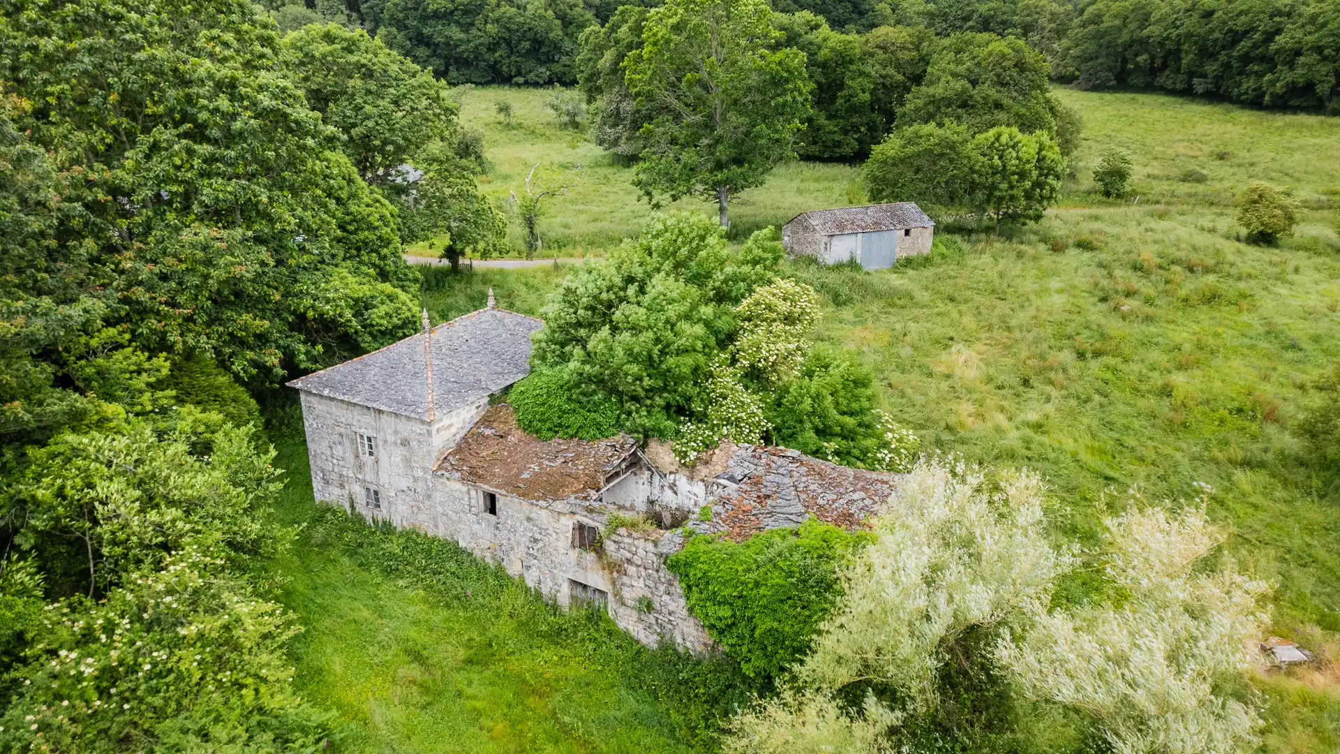 Finca rústica en venta en Friol