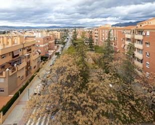 Vista exterior de Apartament en venda en  Granada Capital amb Calefacció