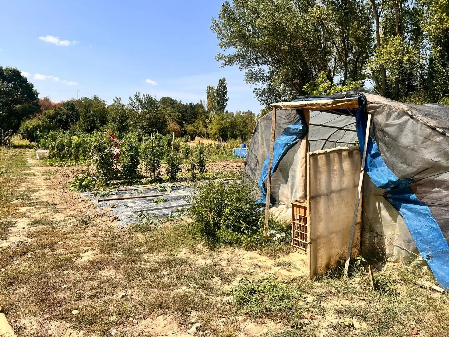 Terreno rústico en venta en Urroz-Villa, imagen 4