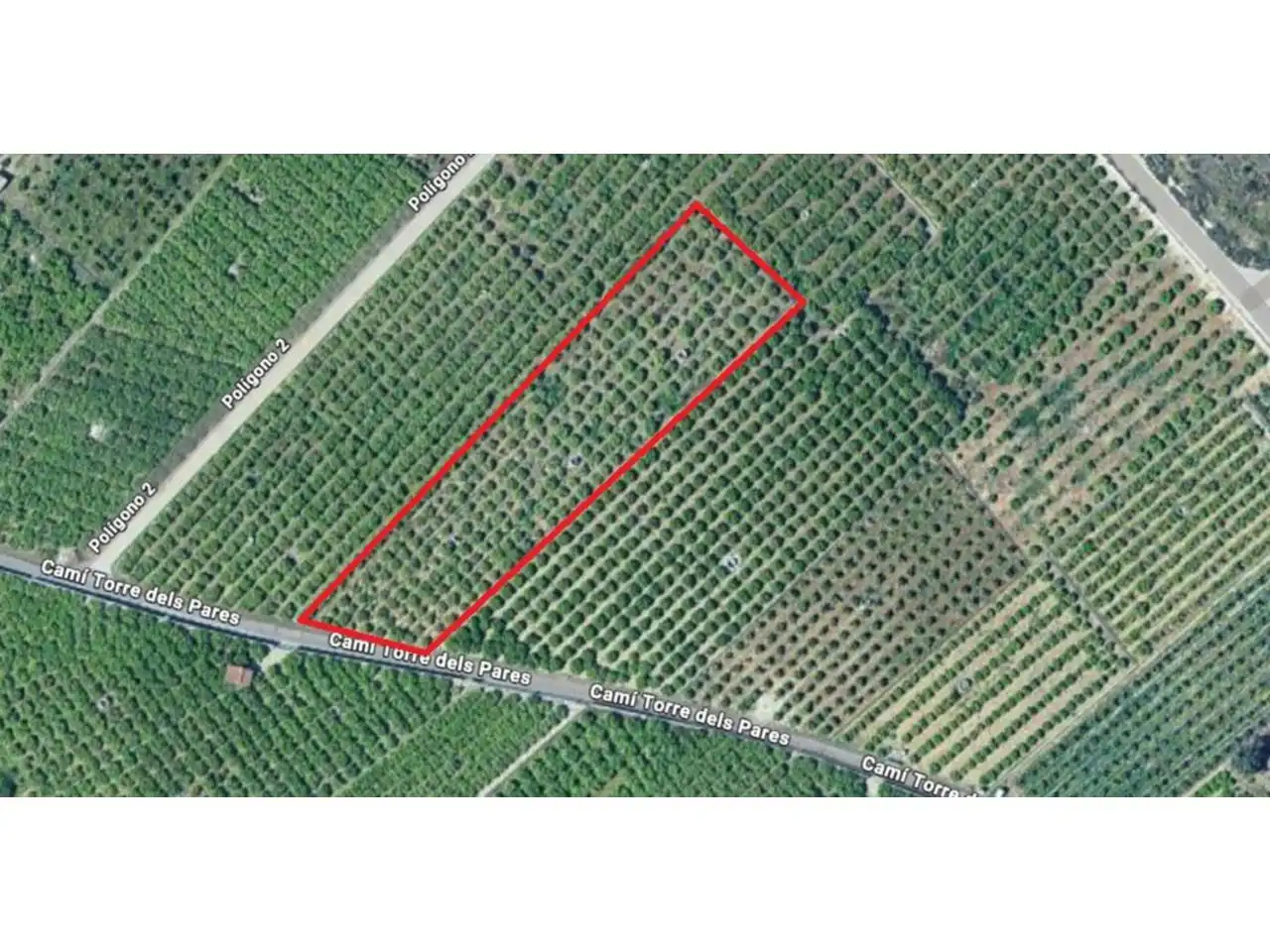 Rural land for sale in Camino Torre de los Pares
