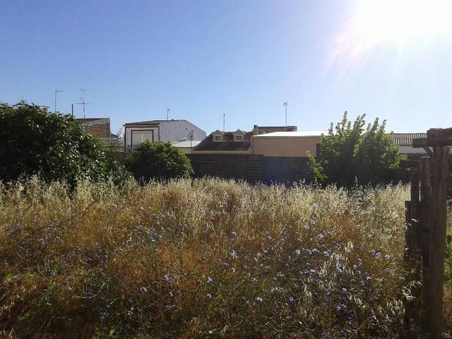 Terreno residencial en Venta en Pilas