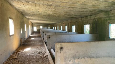 Foto 3 de Finca rústica en venta en Ariany, Illes Balears