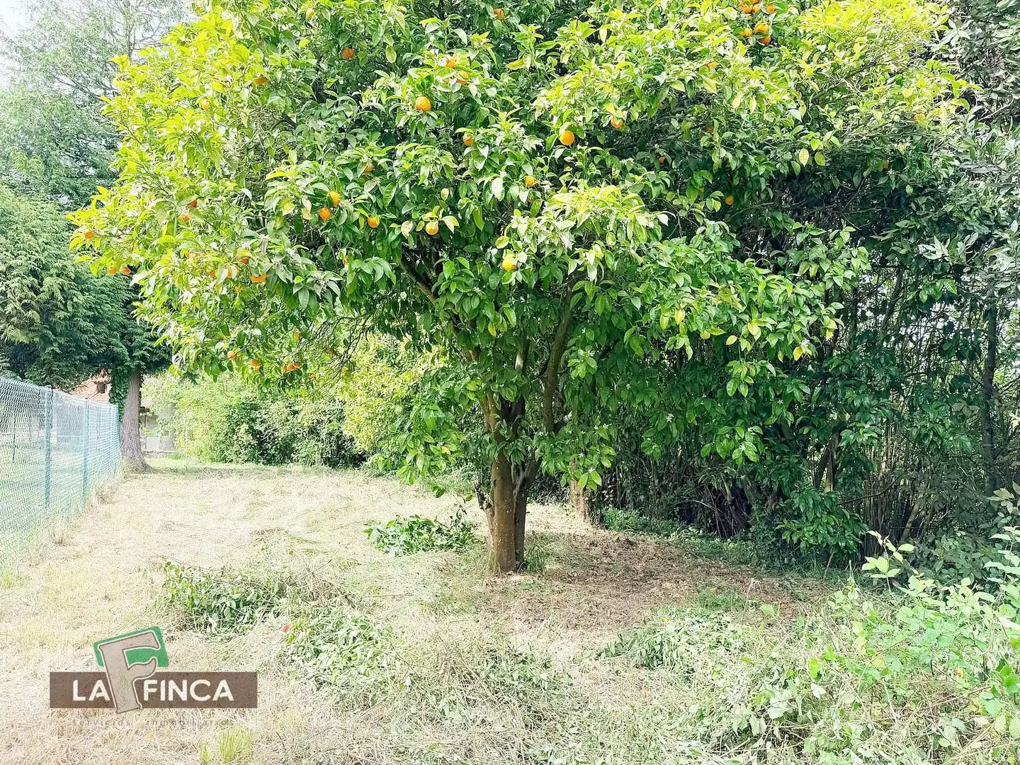 Casa in vendita a PEÑAULLAN, imagen 35