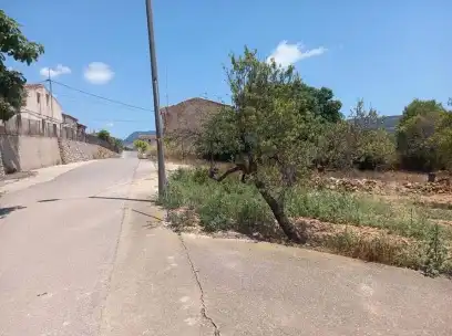 Terreny rústic en venda a PT S 7, imagen 9