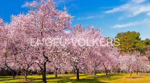 Photo 3 of Flat for sale in Salvador,  Madrid Capital