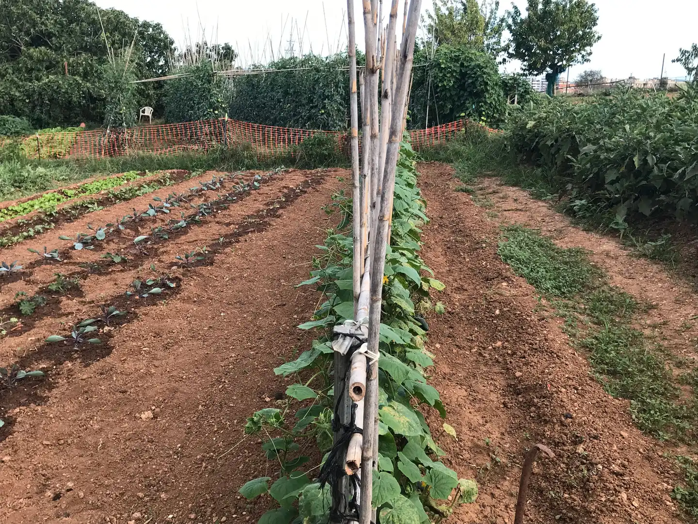Garden of Land for sale in Sabadell