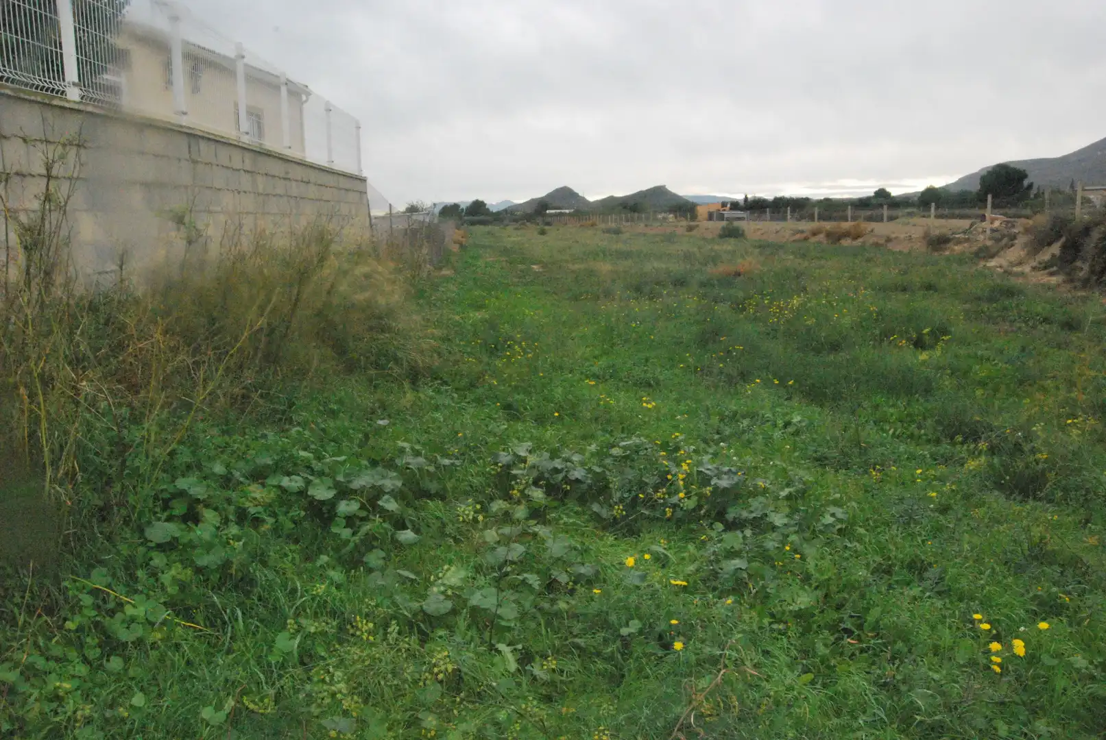 Terrain rustique à vendre à Agost