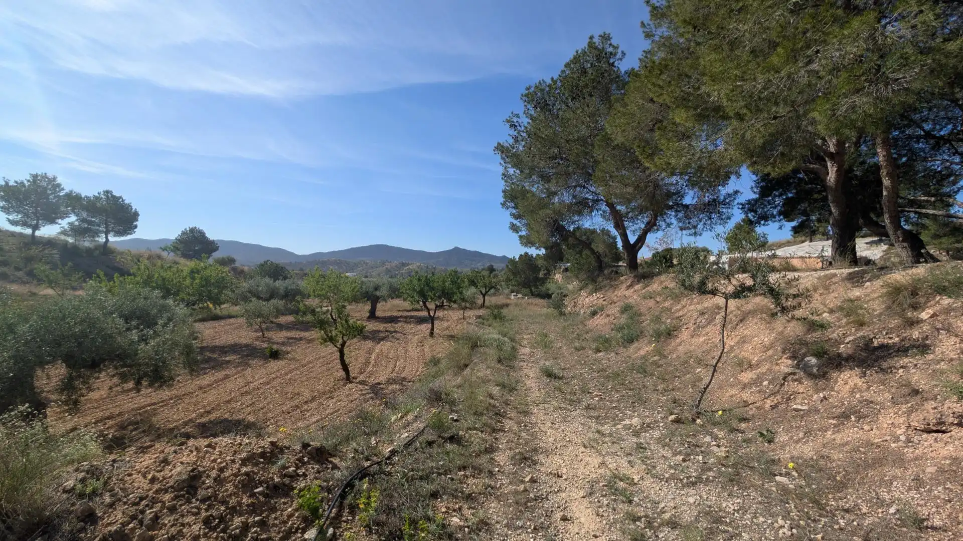 Casa con jardín en venta en Hondón de las Nieves / El Fondó de les Neus, imagen 81