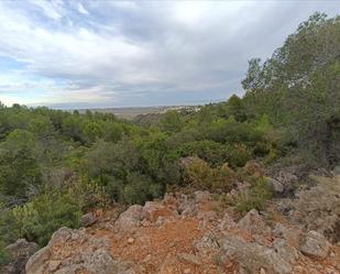 Residencial en venda a TOSAL DE LES COLMENES, POLIGONO 3;PRC13, El Ràfol d'Almúnia